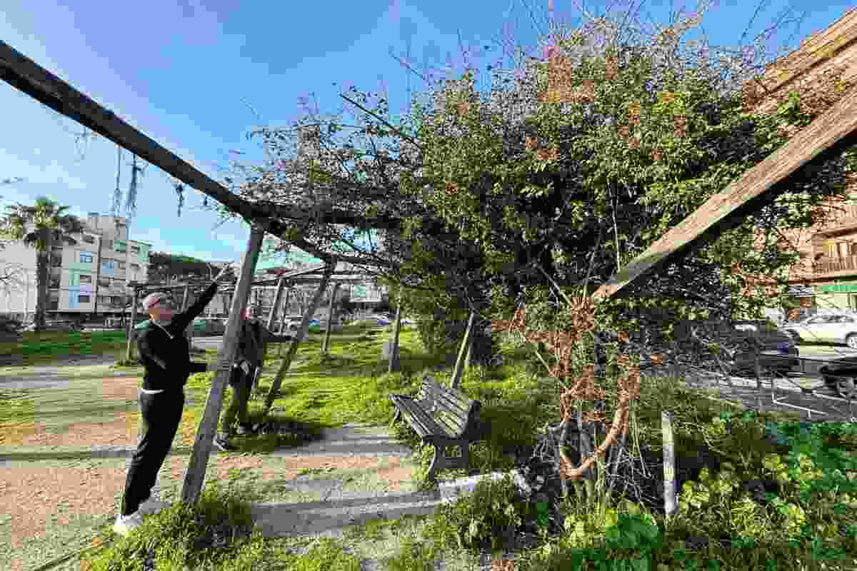 Ispezione al Parco Giaquinto di Ostia