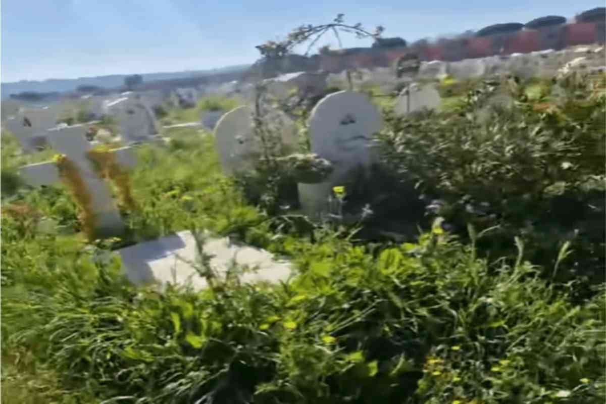 Tombe abbandonate al Cimitero Flaminio di Roma