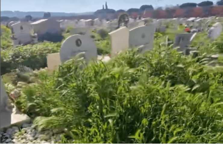 Tombe coperte dall'erba alta al Cimitero Flaminio di Roma