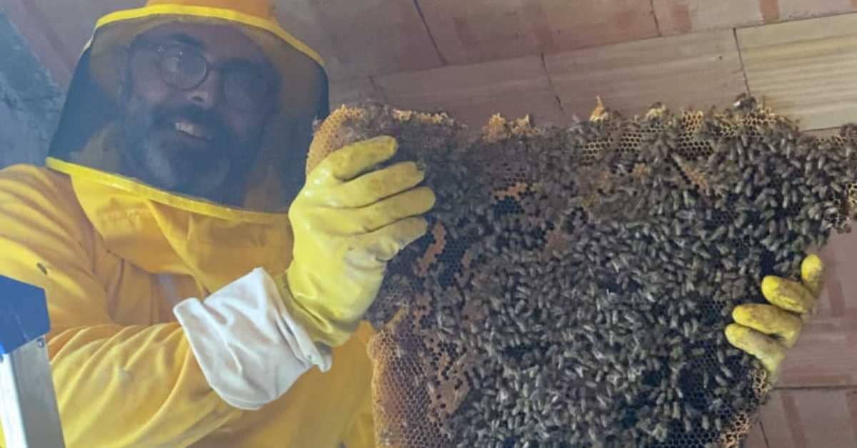 Andrea Lunerti rimuove un maxi alveare di api