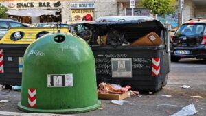 Resti animali lasciati accanto ai cassonetti in via Enrico Fermi, nel quartiere Marconi a Roma