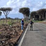 Anzio, Strada Provinciale 108/b Cavallo Morto con pini lungo la carreggiata, ramaglie ai margini e due persone sul tratto stradale.