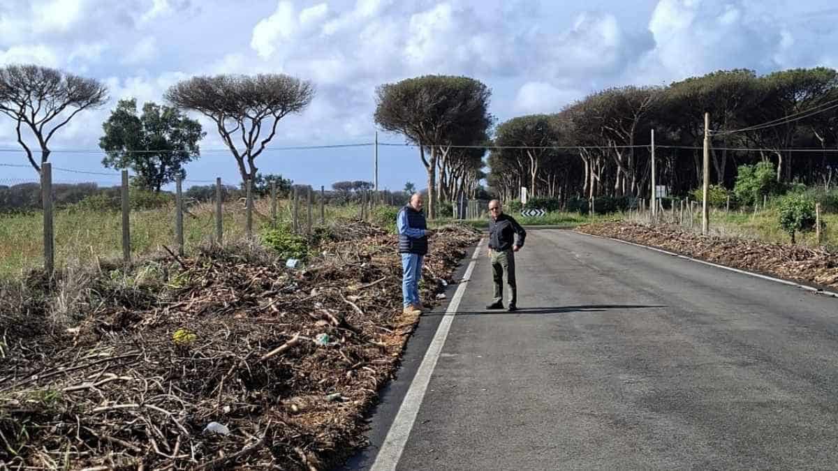 Anzio, Strada Provinciale 108/b Cavallo Morto con pini lungo la carreggiata, ramaglie ai margini e due persone sul tratto stradale.