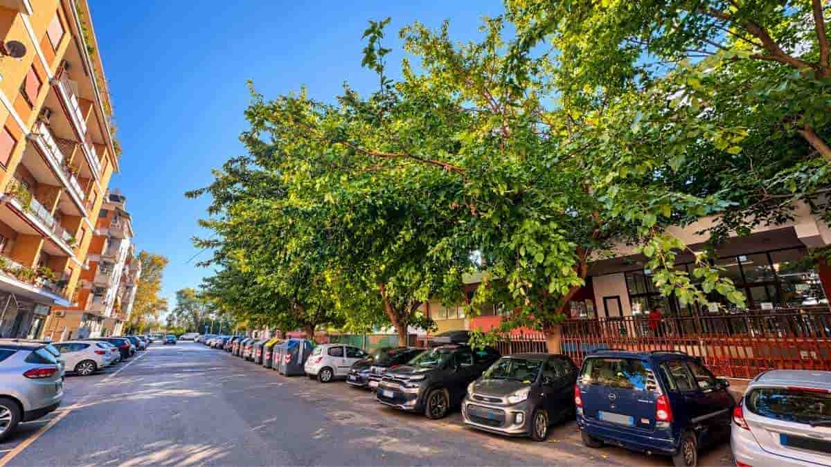 Alberi con chiome fitte lungo via Alessandro Cruto, nel quartiere Marconi a Roma, davanti alla scuola Renato Guttuso e alle auto parcheggiate.