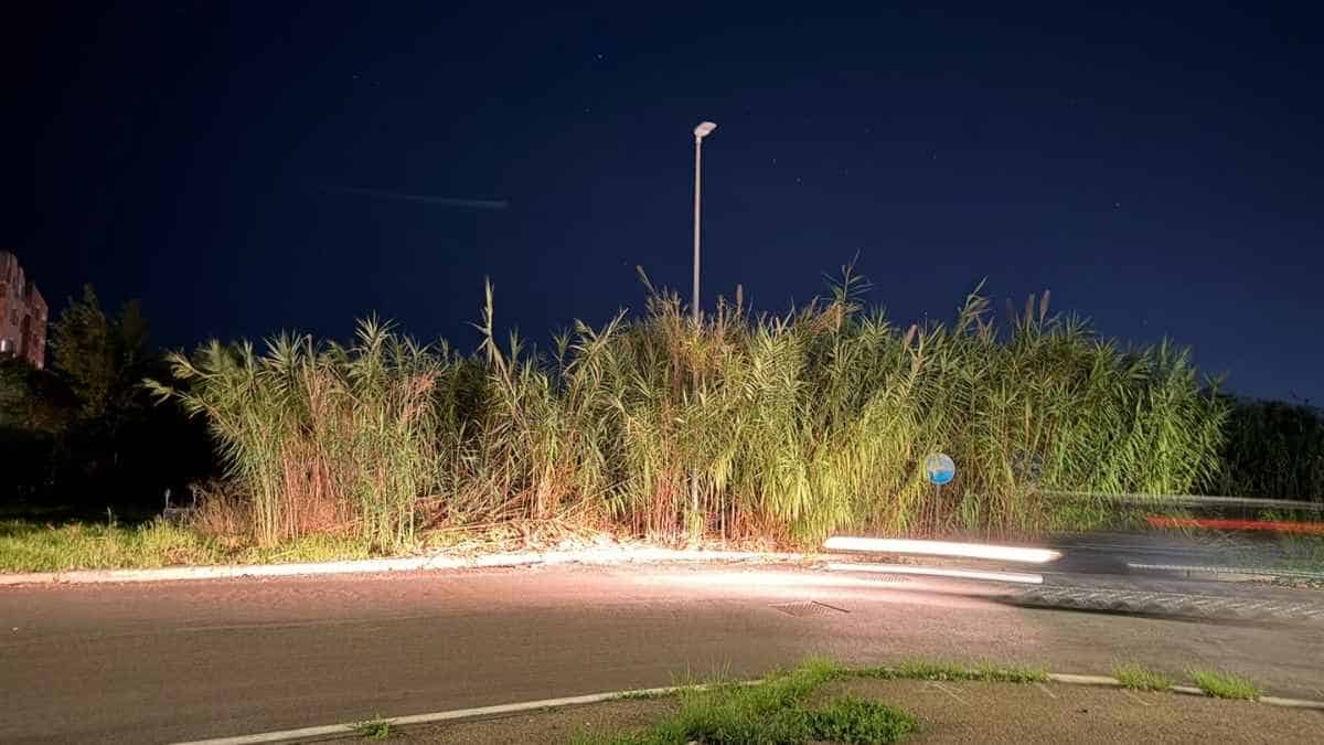 Ostia, via della Martinica: lampione spento e canneti alti vicino a una curva stradale durante il sopralluogo notturno.