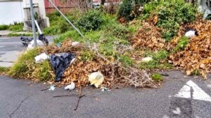 Accumuli di sfalci, rami secchi e sacchi di rifiuti lungo viale Mediterraneo a Ostia, nell'area interessata dal progetto del Parco del Mare.