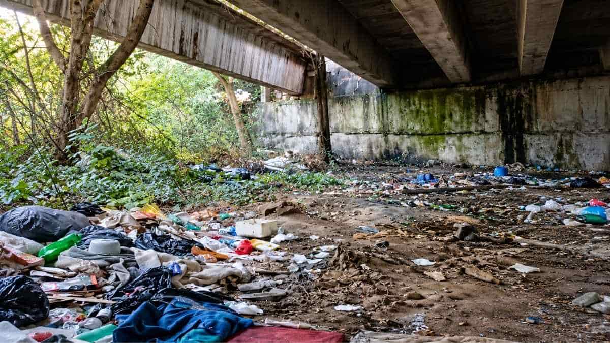 Roma, rifiuti e materiali abbandonati sotto il ponte di corso Francia, tra vegetazione, sacchi di immondizia e indumenti.