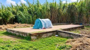 Roma, tenda azzurra coperta da un telo trasparente su una pedana del Parco Tevere Magliana, circondata da vegetazione e canneti.