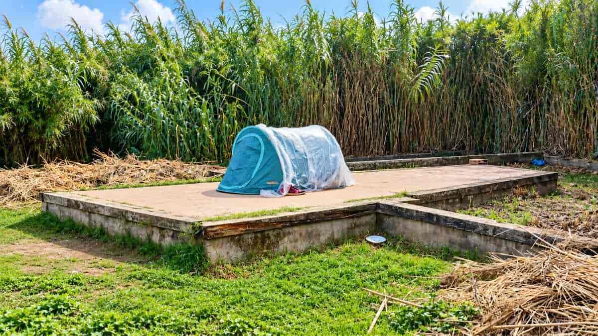 Roma, tenda azzurra coperta da un telo trasparente su una pedana del Parco Tevere Magliana, circondata da vegetazione e canneti.